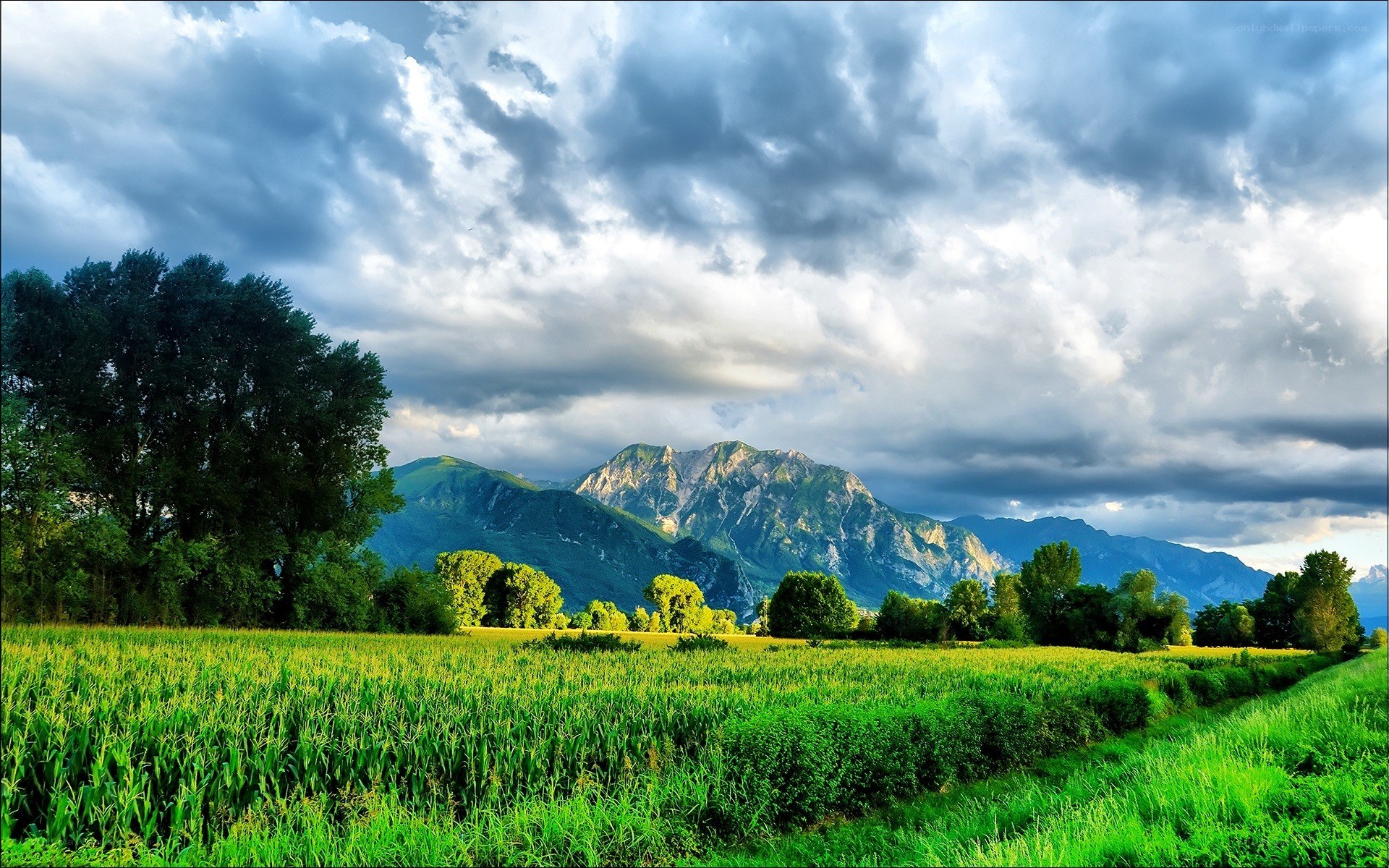 Green field with mountains