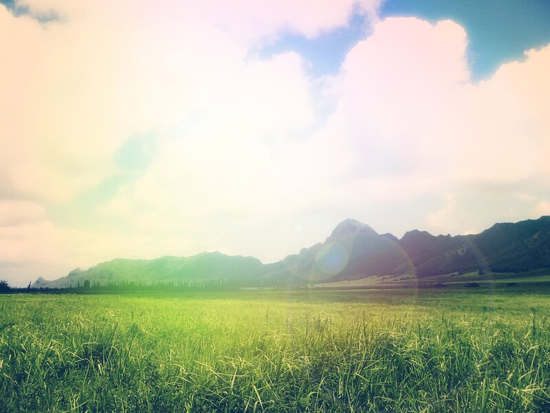 Green field with mountains