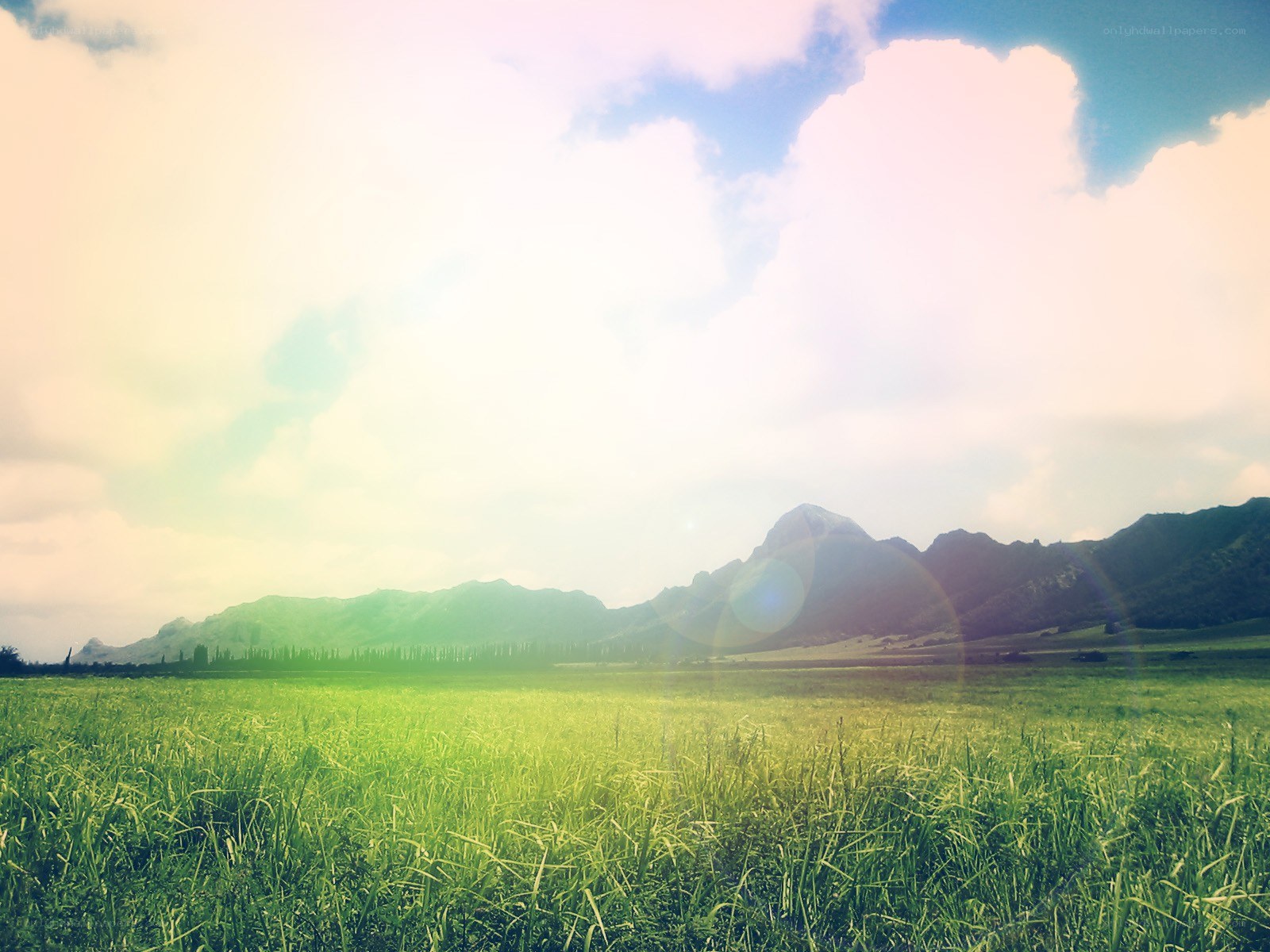 Green field with mountains