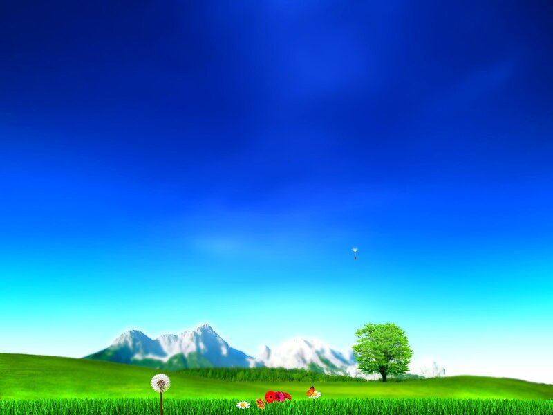 Green field with mountains