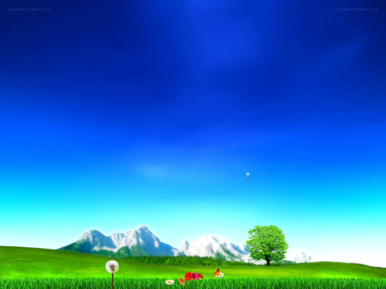 Green field with mountains