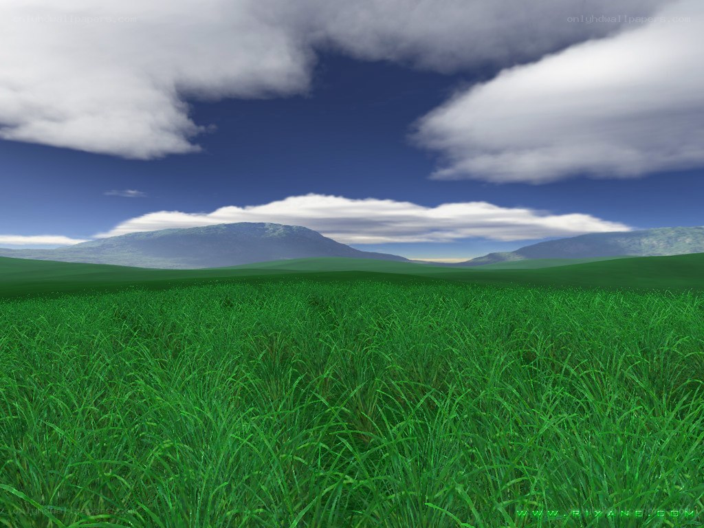 Green field with mountains