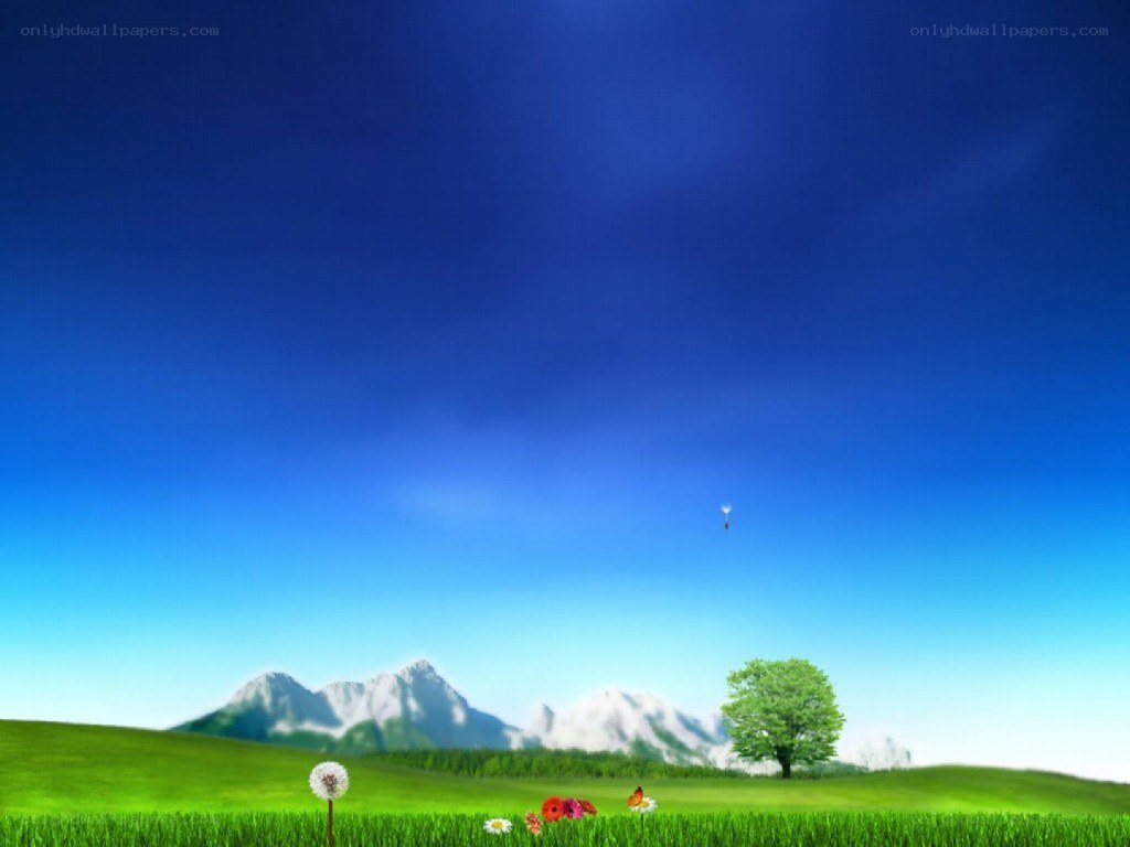 green field with mountains
