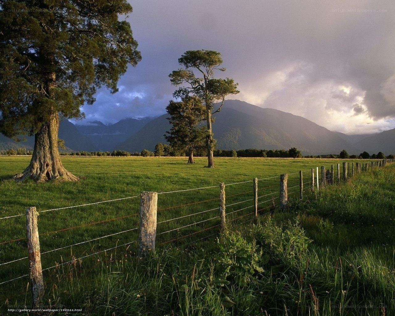 Green field with mountains