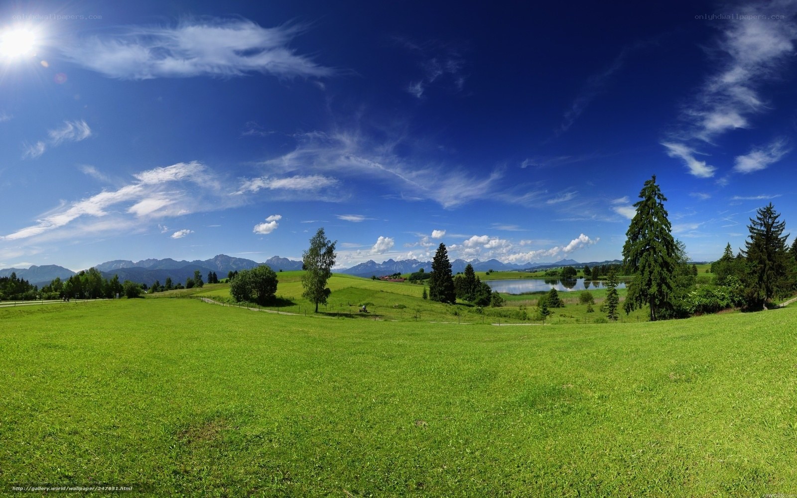 Green field with mountains