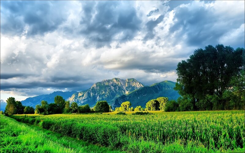 Green field with mountains