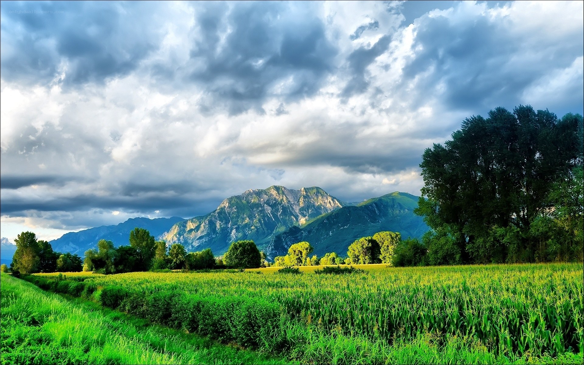 Green field with mountains