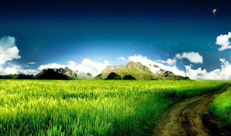 Green field with mountains and hot air balloon