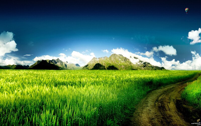 Green field with mountains and hot air balloon