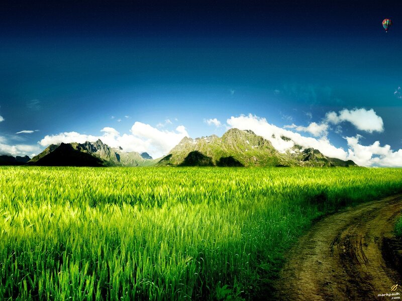 Green field with mountains and hot air balloon