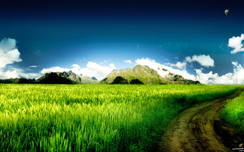 Green field with mountains and hot air balloon