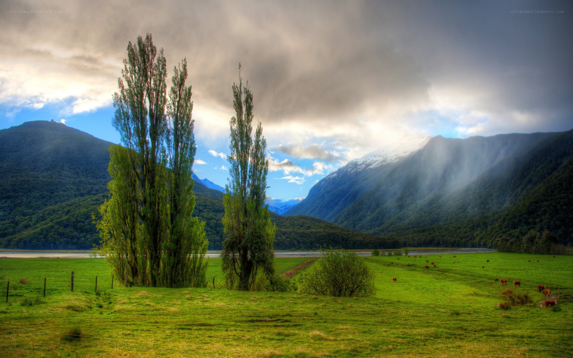 Green field with mountains and trees