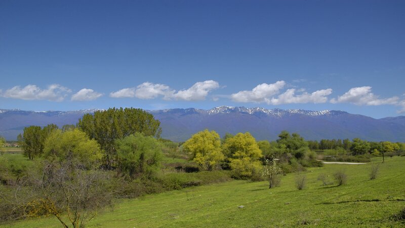 Green Field with Mountains — Blue, Serene, Spring