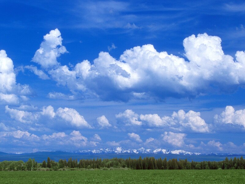 Green Field with Mountains — Blue, Serene