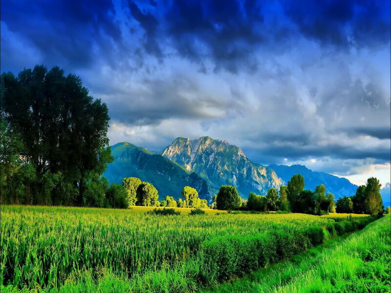 Green Field with Mountains — Dramatic, Afternoon, Photograph