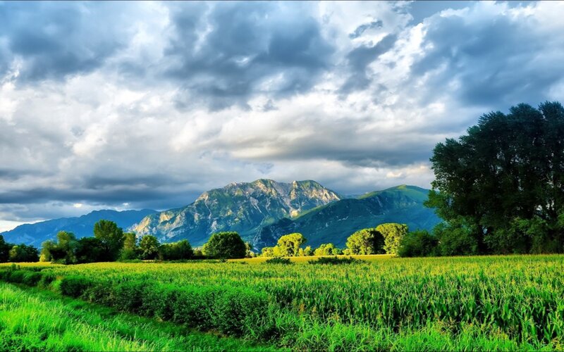 Green Field with Mountains — Dramatic, Afternoon, Photograph, Trees