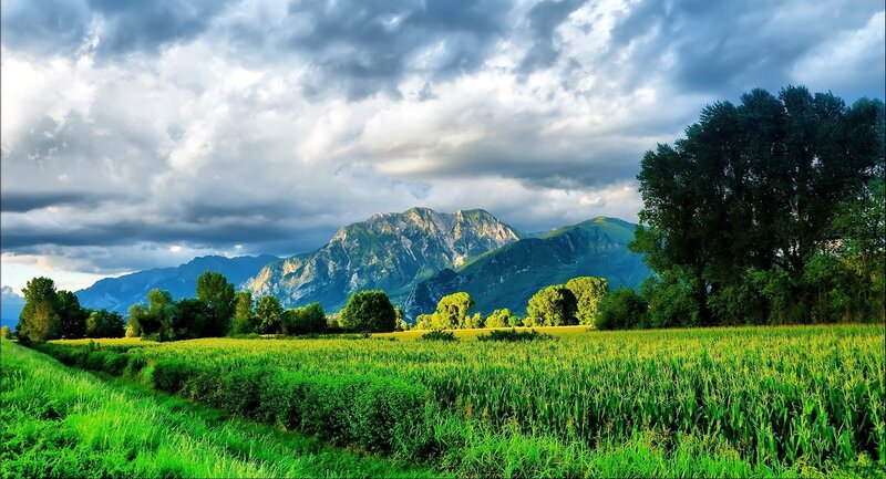 Green Field with Mountains — Dramatic, Afternoon