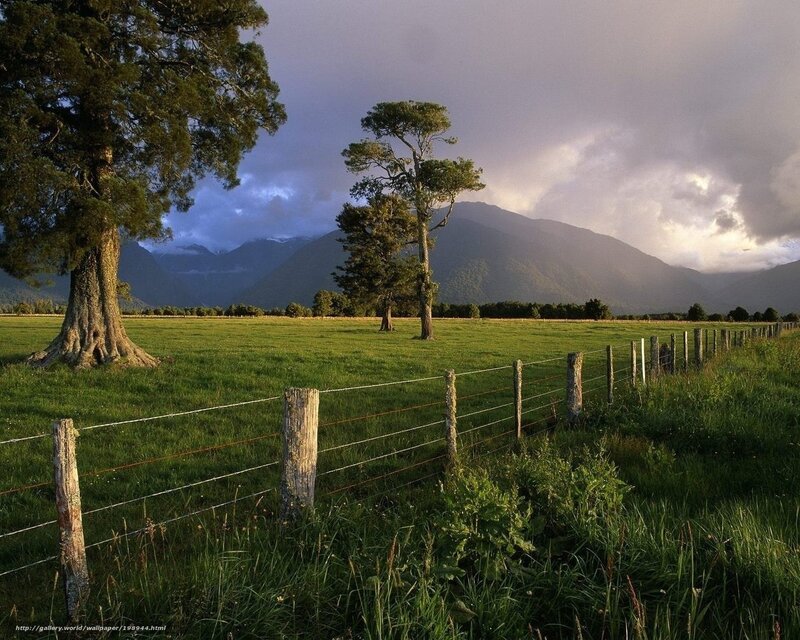 Green Field with Mountains — Dramatic, Sunset, Photograph, Trees