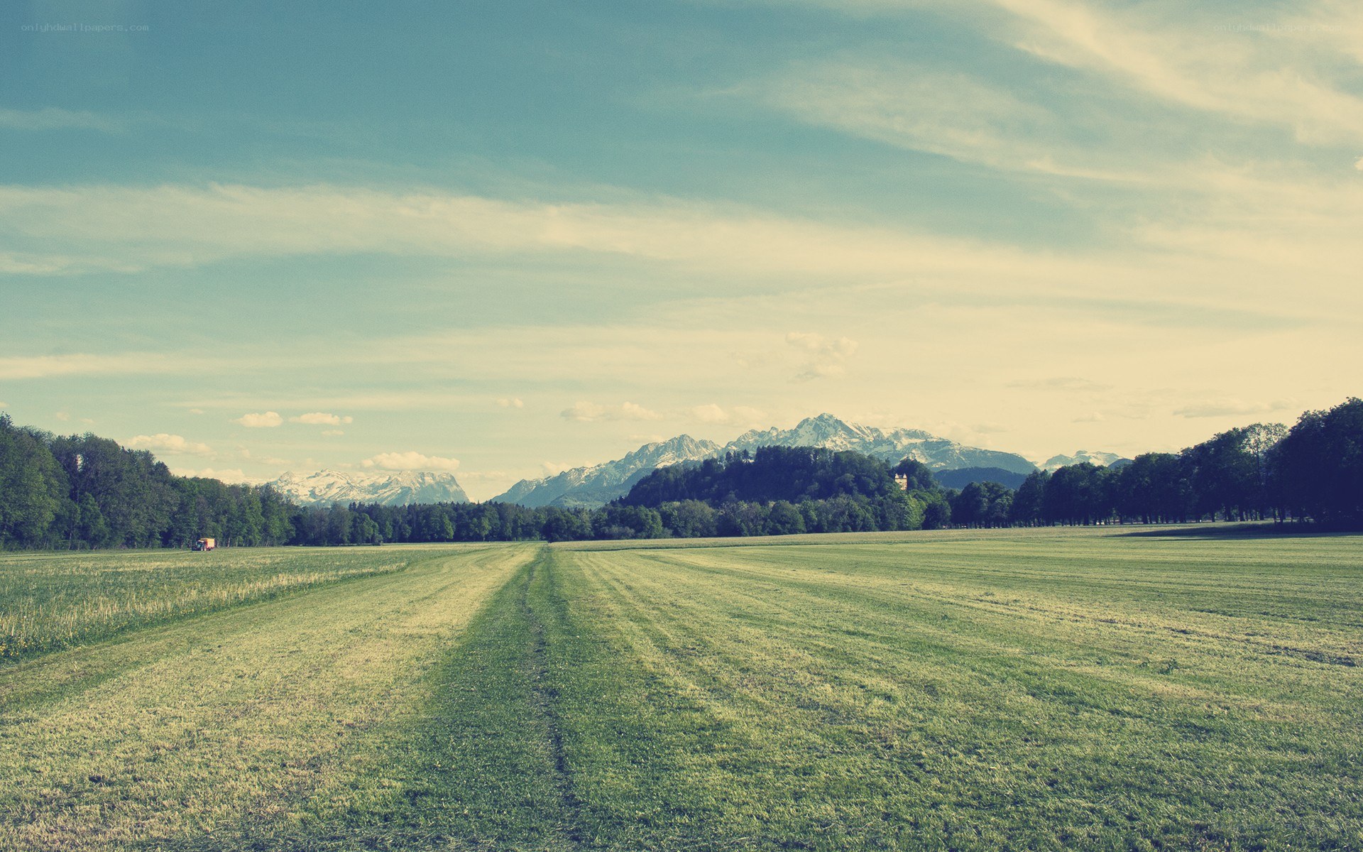 Green field with mountains in background