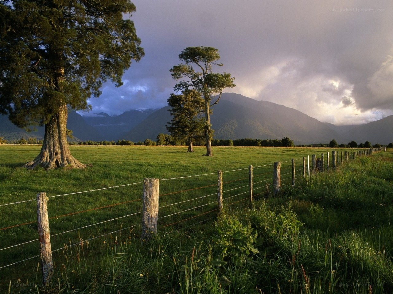 Green field with mountains in background