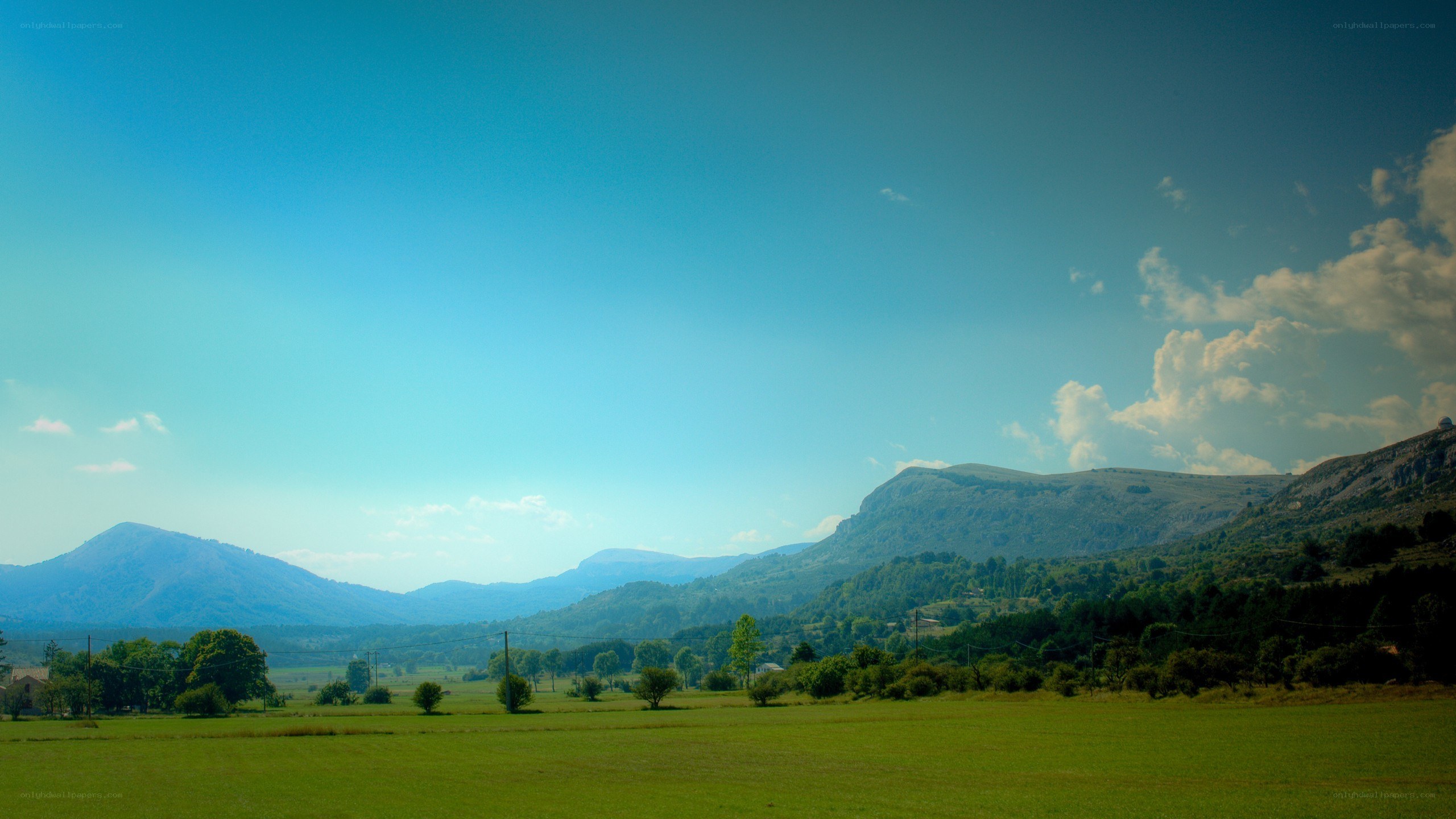 Green field with mountains in background