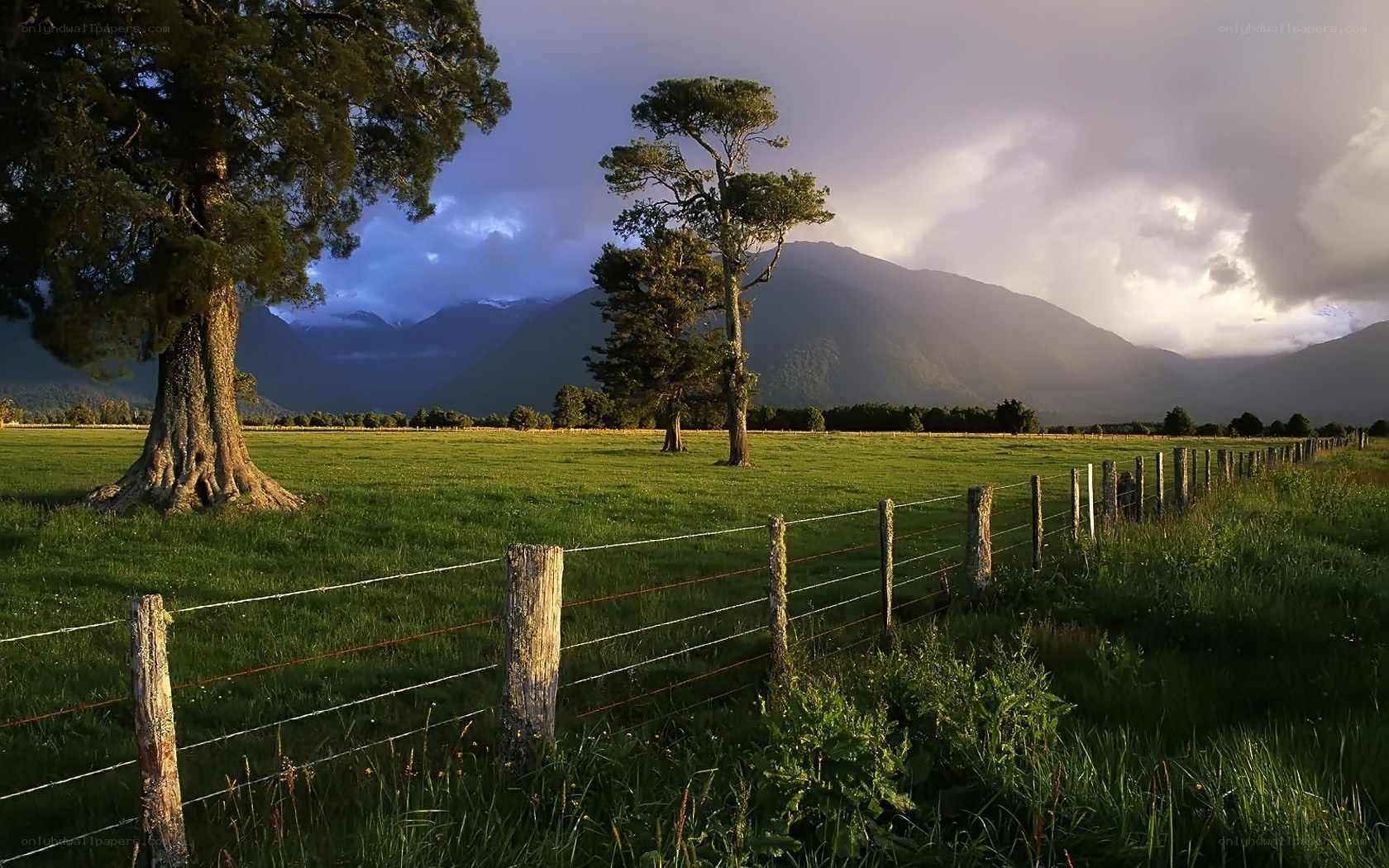 Green field with mountains in background