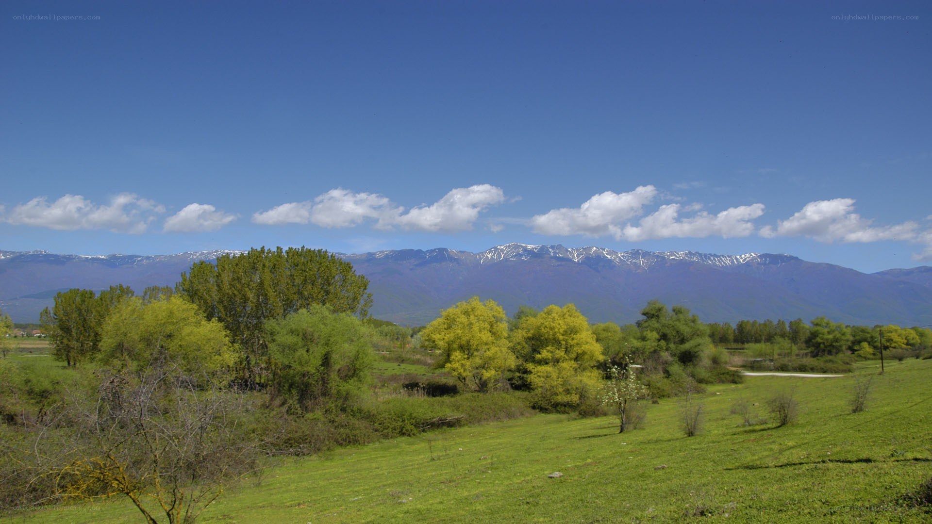 Green field with mountains in background