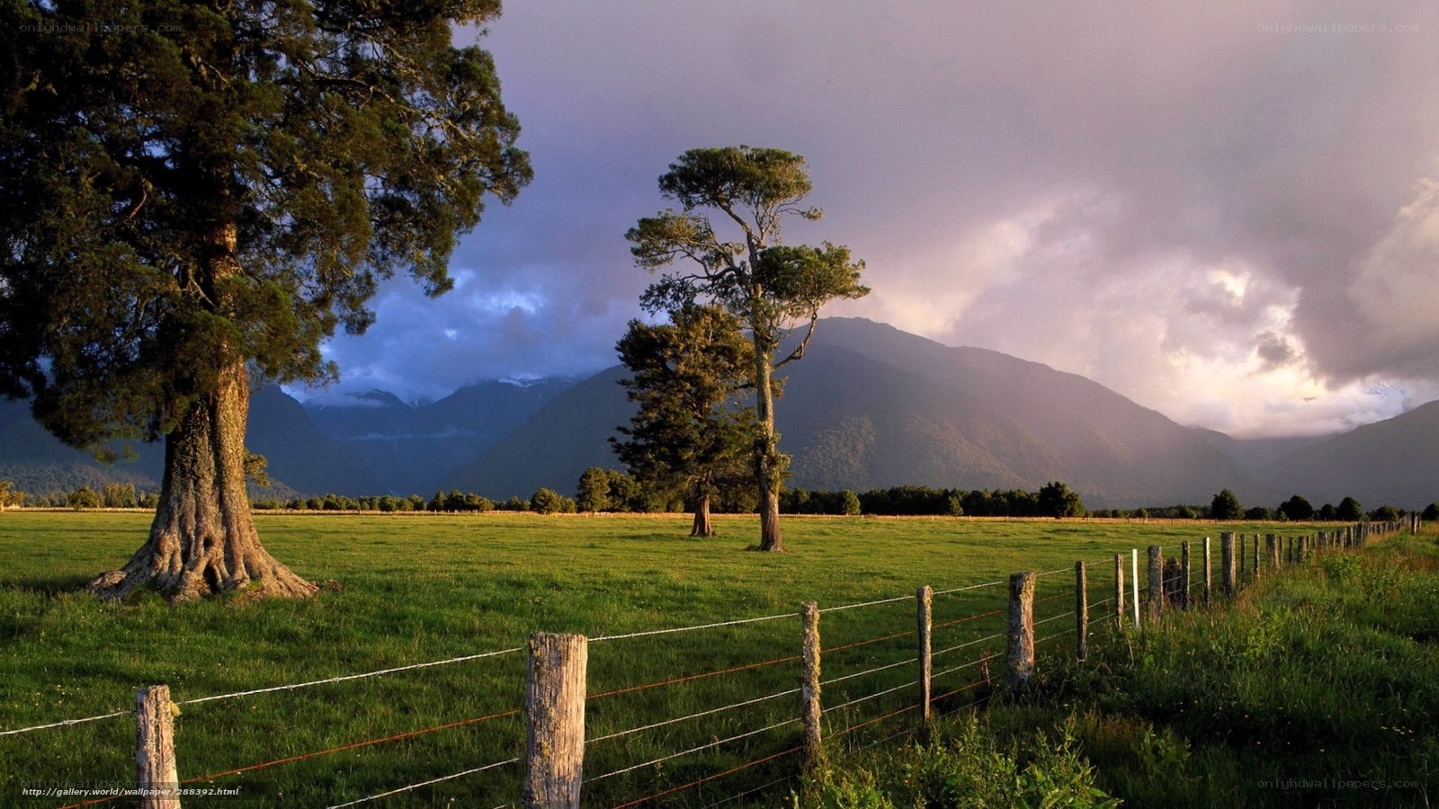 Green field with mountains in background