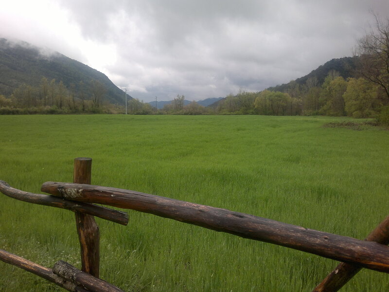 Green Field with Mountains — Overcast