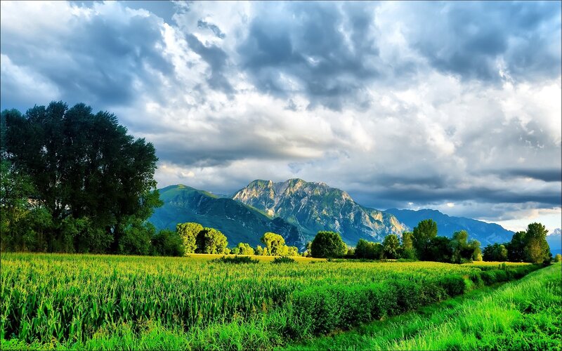 Green Field with Mountains — Photograph