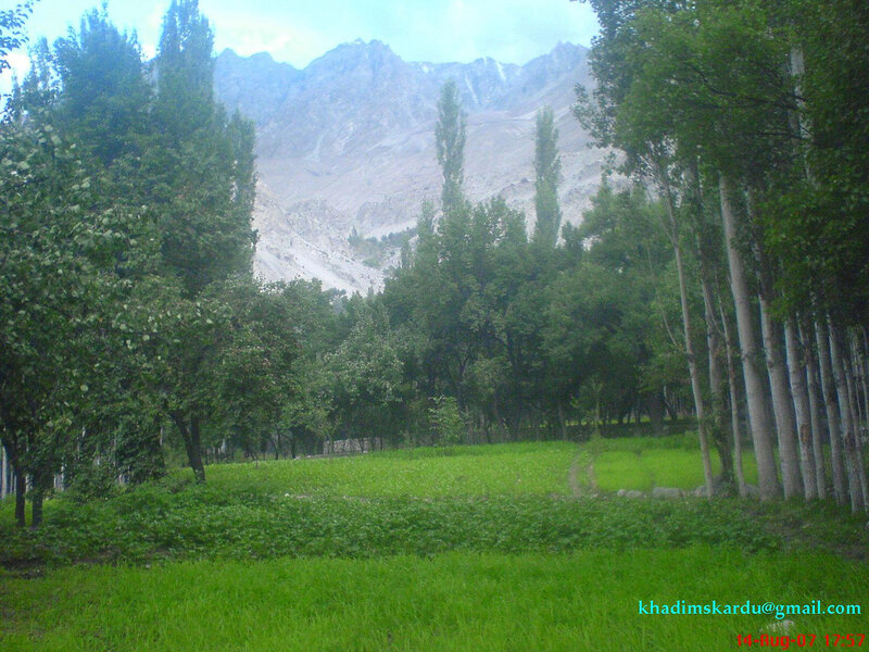 Green Field with Mountains — Serene, Afternoon, Photograph, Trees, Grass