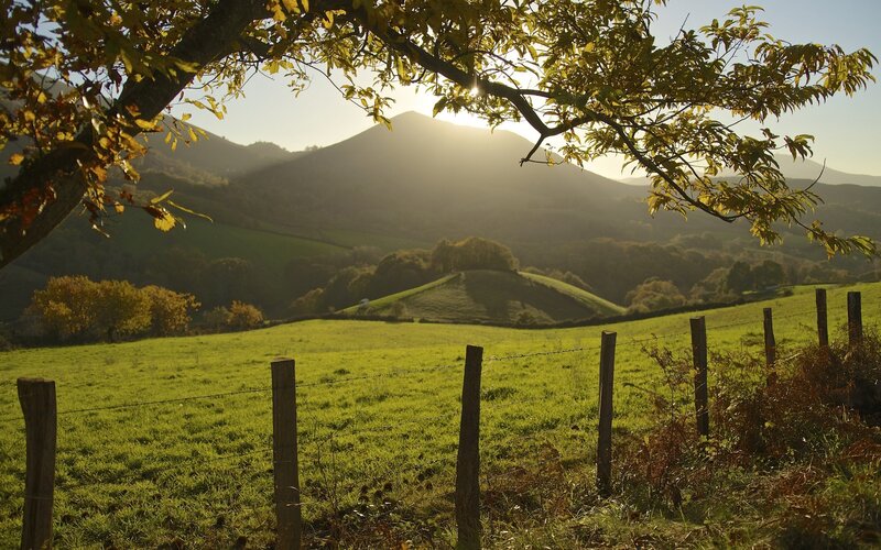 Green Field with Mountains — Serene, Sunset, Photograph, Fence