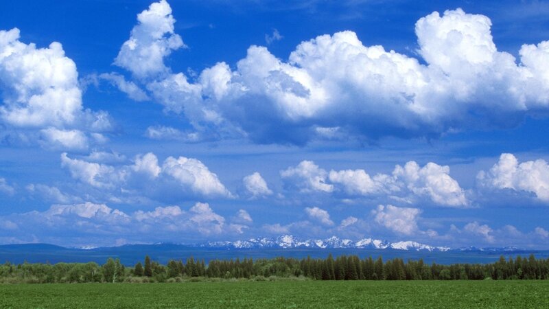 Green Field with Mountains — Trees