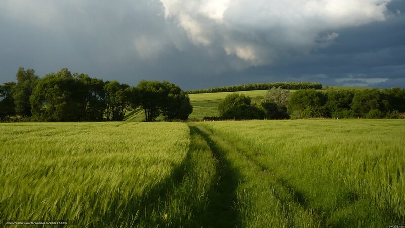 Green Field with Path — Dramatic