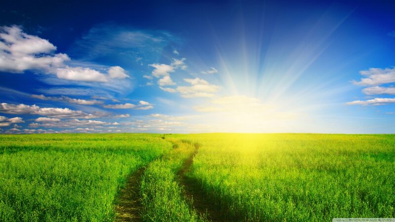 Green Field with Path — Serene