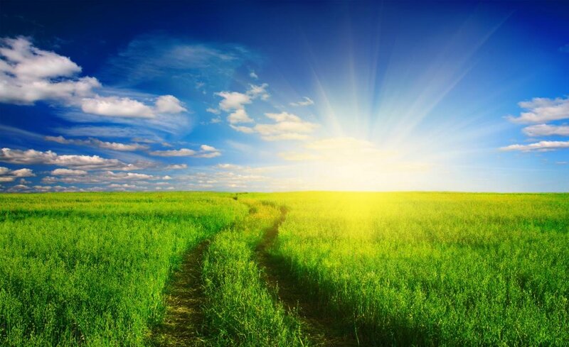 Green Field with Path