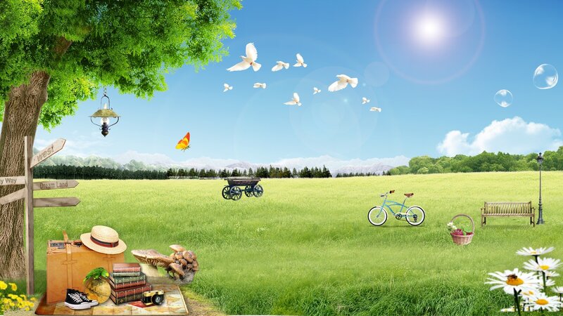 Green Field with Picnic Items