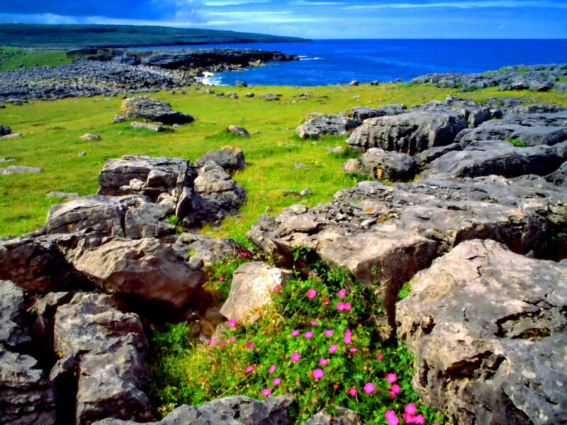 Green Field with Pink Flowers
