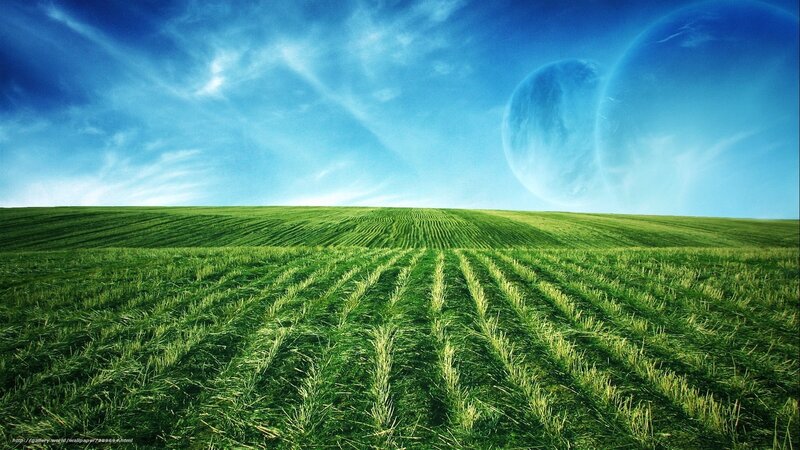 Green Field with Planets — Serene, Afternoon, Digital Art