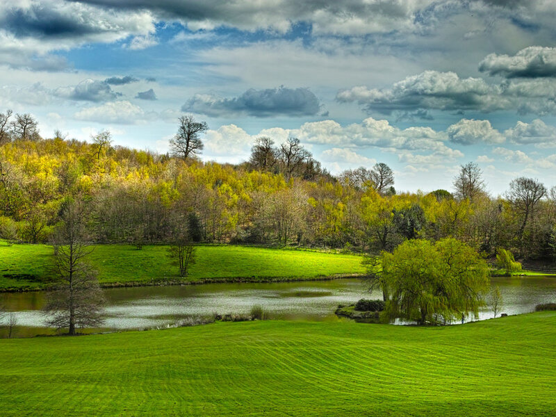 Green Field with Pond — Serene
