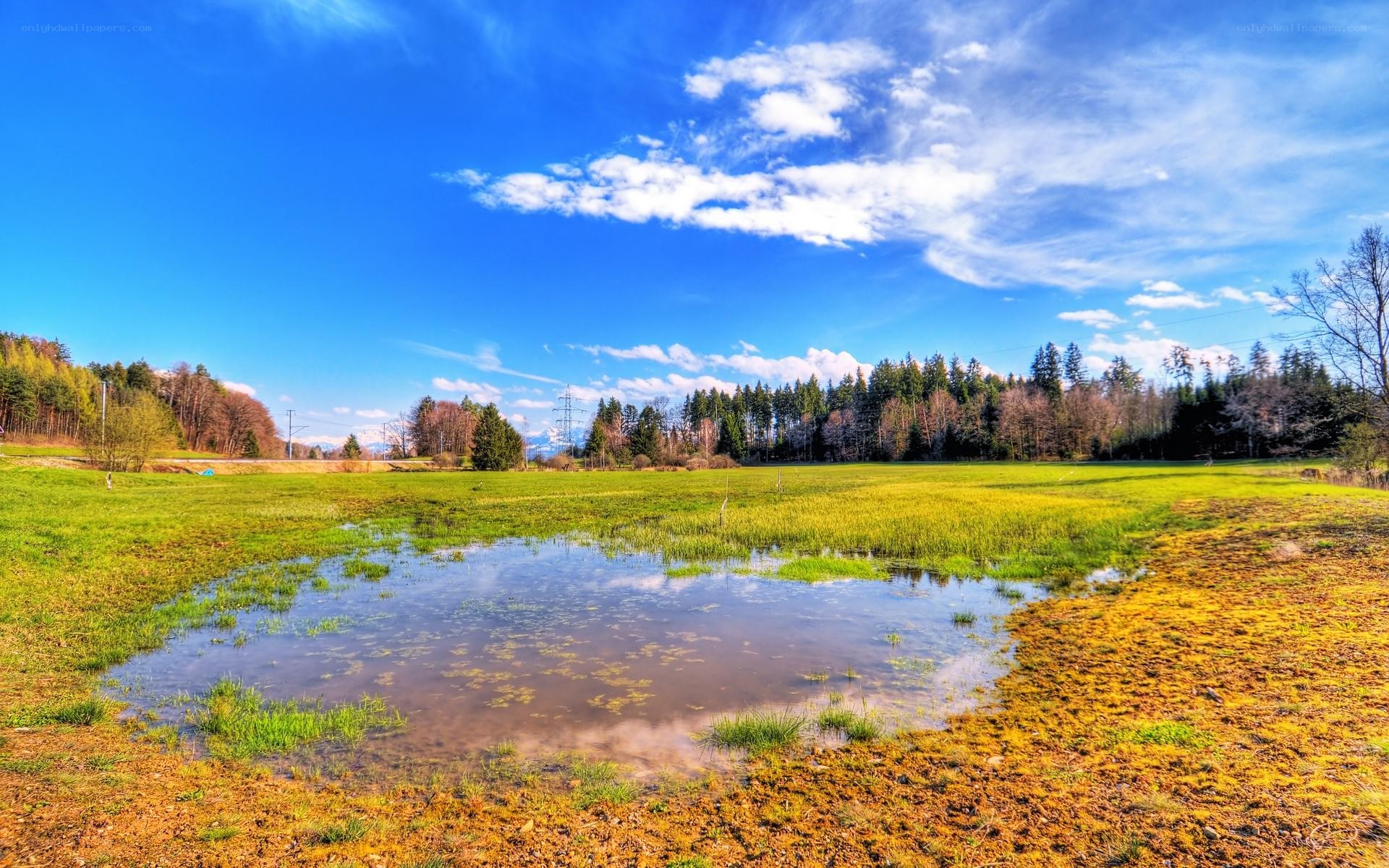 Green field with pond under blue sky