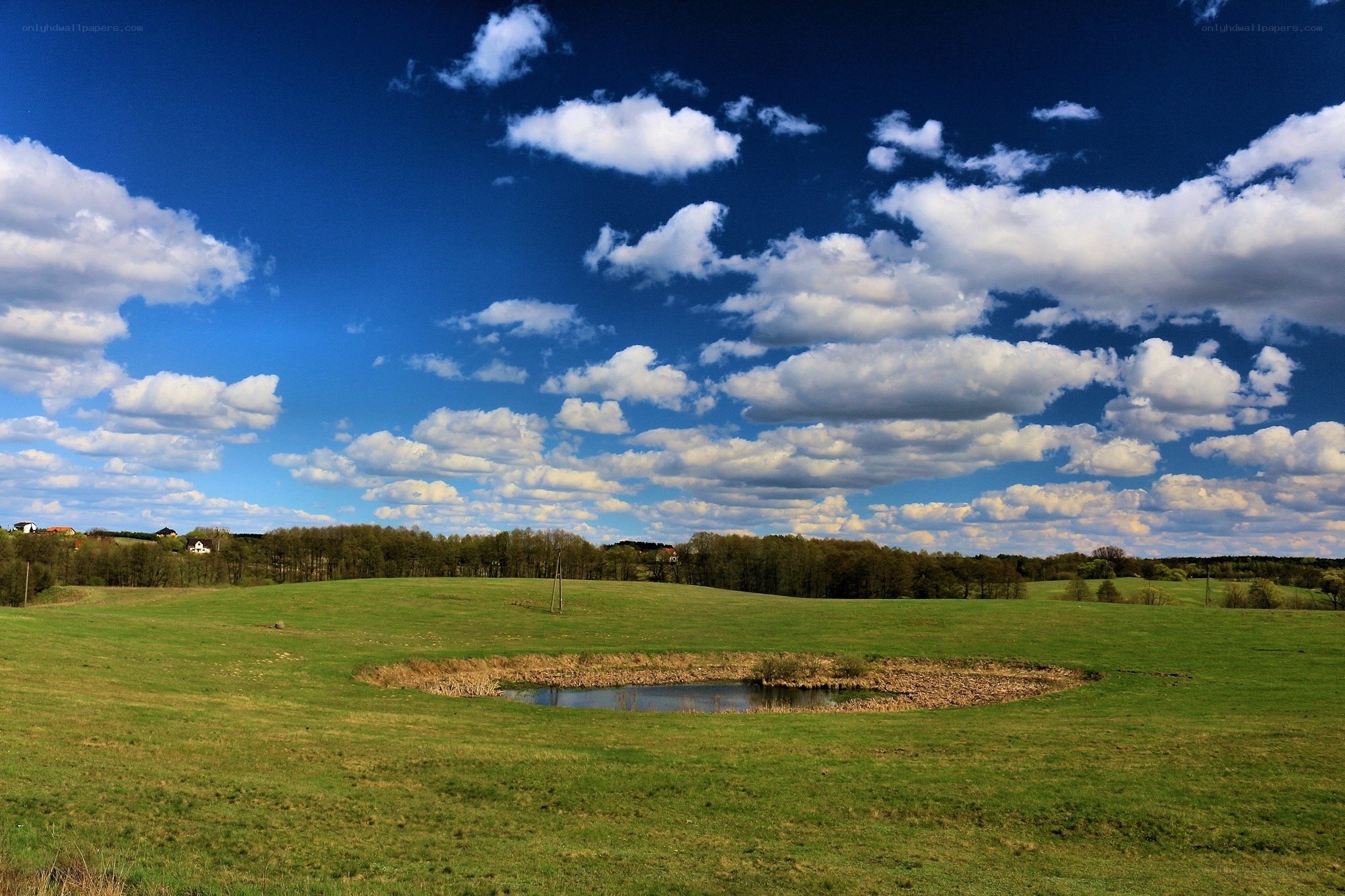 Green field with pond under blue sky