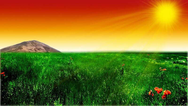 Green Field with Poppies — Dramatic, Sunset