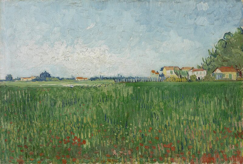 Green Field with Poppies — Serene