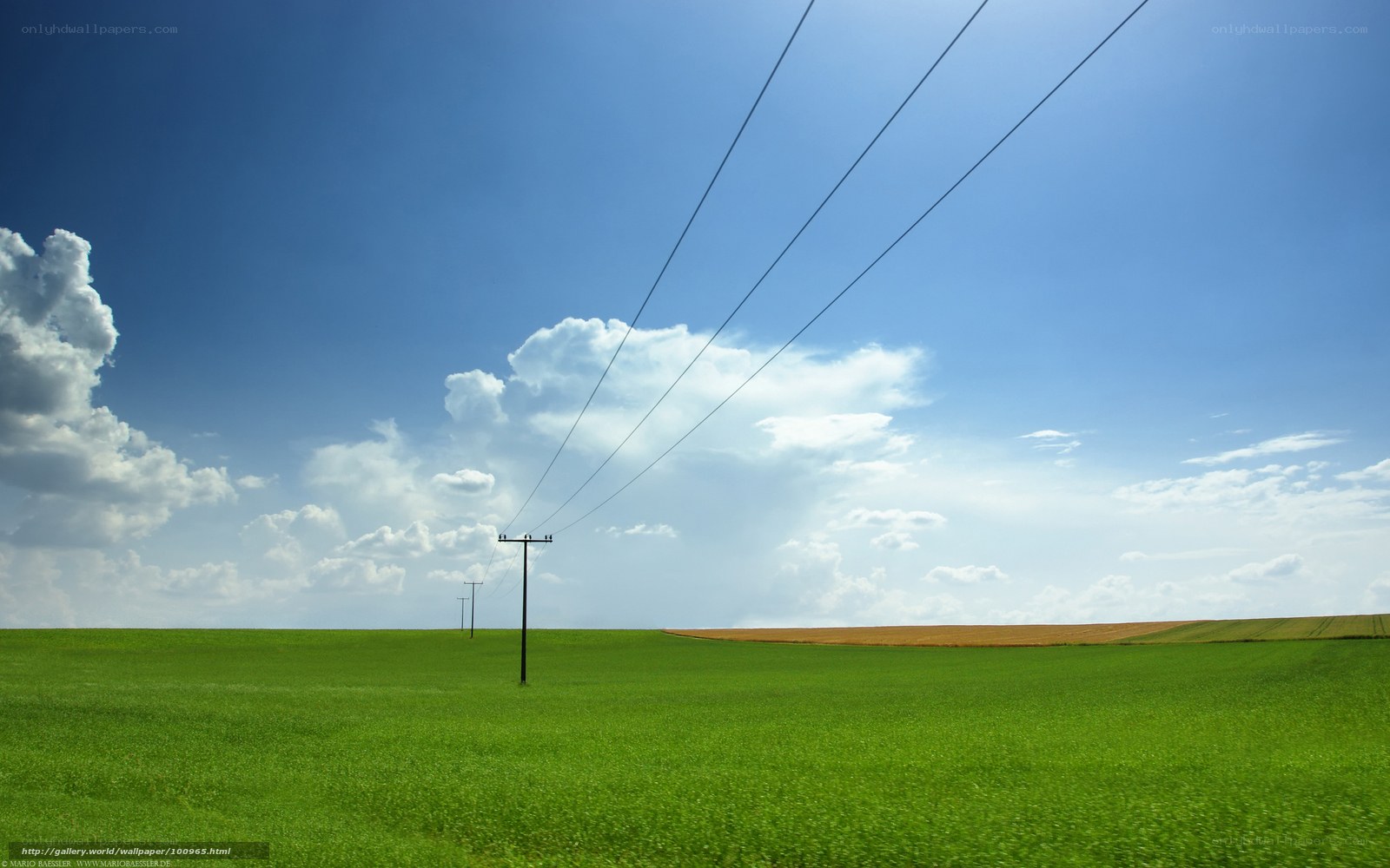 Green field with power lines