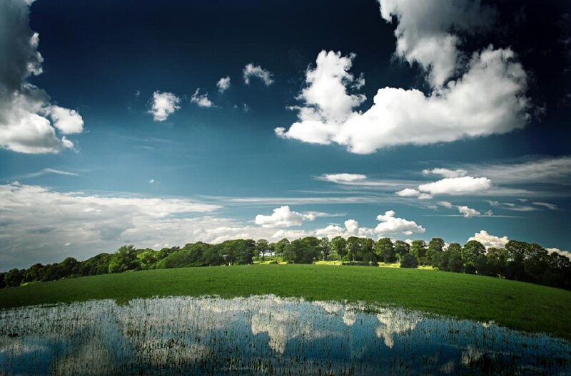 Green Field with Puddle