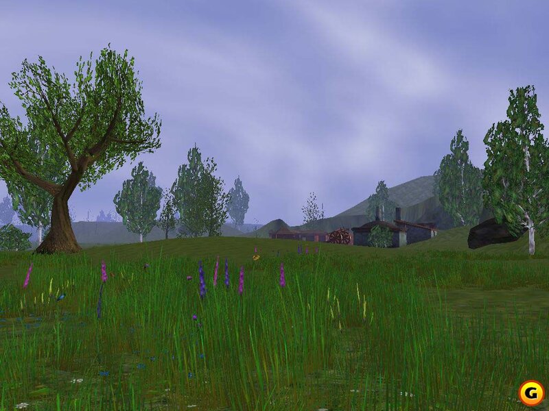 Green Field with Purple Flowers