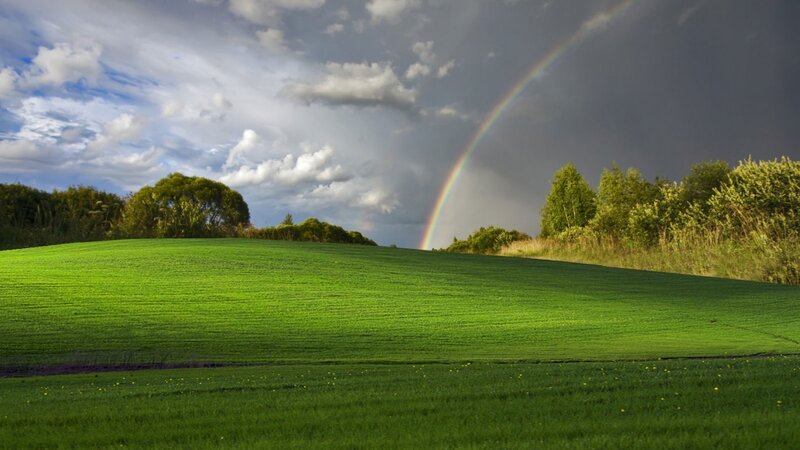 Green Field with Rainbow — Serene