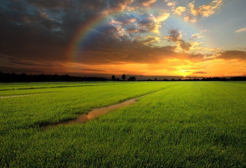 Green Field with Rainbow