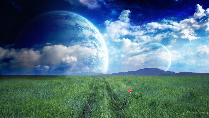 Green Field with Red Flower